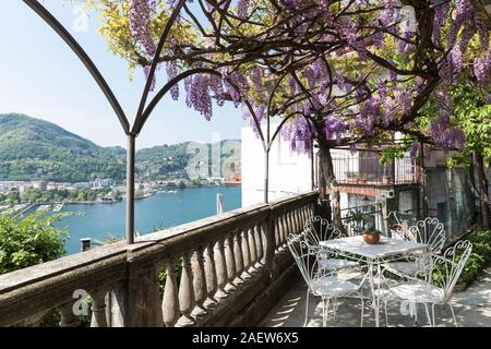 Fantastische Veranda von bunten Wisteria an einem schönen Frühlingstag abgedeckt Stockfoto