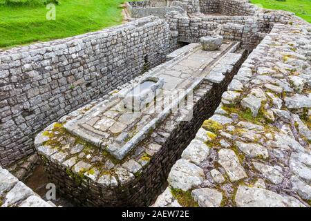 Die Überreste der Latrinen bei Housesteads Roman Fort, Teil der Hadrianswall in Northumberland, England. Stockfoto