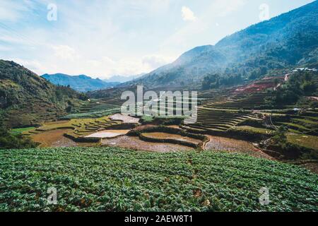 Schwarze Hmong Dorf und Terrasse Reisfelder im Winter auf nebligen und verregneten Tag in Muong Hoa Tal in Sapa, Vietnam. Ernte aus dem Reisfeld Stockfoto