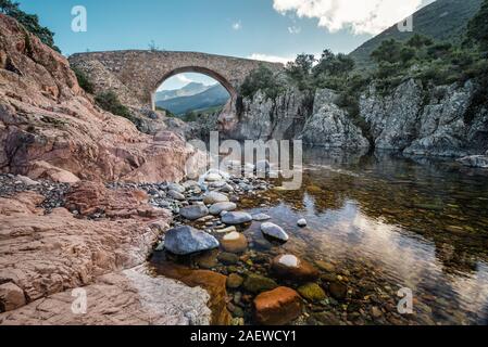 Alte Steinbrücke von Ponte Vecchiu Genueser Brücke über den kristallklaren Fango Fluss in Korsika Stockfoto