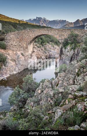 Alte Steinbrücke von Ponte Vecchiu Genueser Brücke über den kristallklaren Fango Fluss in Korsika Stockfoto