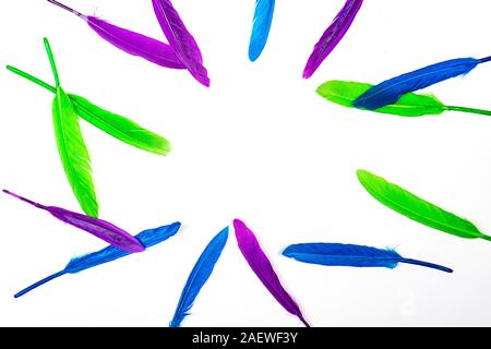Bunte Muster aus Federn auf weißem Hintergrund, isoliert. Minimale boho style Colour Concept. Flach, Ansicht von oben, kopieren. Classic blau Farbe des Jahres 2020. Stockfoto