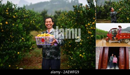 (191211) - Peking, Dez. 11, 2019 (Xinhua) - Combo Foto zeigt die 56-jährige Lu Cheng holding Orangen er gerade abgeholt (main Bild im Layout) und Lu's Alltag (kleinere Bilder in der rechten Spalte), in Dayang Dorf, Stadt Pingshan, Luzhai Grafschaft von South China Guangxi Zhuang autonomen Region, Okt. 24, 2019. In den letzten Jahren, Luzhai Grafschaft hat seine charakteristische Branchen in Armut Anstrengungen zu verstärken. Derzeit werden die meisten armen Haushalte in Luzhai Grafschaft sind in charakteristischen Industrien, einschließlich Pflanzen, Tierhaltung und des ländlichen Tourismus, der Hel eingerückt Stockfoto