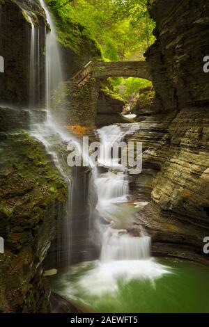 Die Rainbow Falls Wasserfall in Watkins Glen-Schlucht im Staat New York, USA. Stockfoto