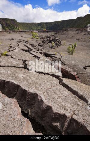 Kraterboden des Kilauea Iki Krater im Volcanoes National Park in Big Island Hawaii, USA. Stockfoto