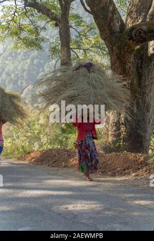 Tribal Dorf Damen mit Heu für Futter her Vieh auf indischen Straßen Stockfoto