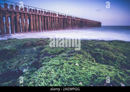 Holz- wellenbrecher mit Steg auf der sandigen Strände von Walcheren in der Nähe des Dorfes Westkapelle in Zeeland, Niederlande Stockfoto