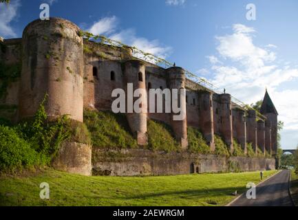 Blick über Palais de la Berbie vom Flußufer in der Nähe von Quai Choiseul Stockfoto