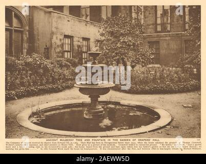 Draper' Hall. Maulbeerbaum Brunnen Garten. Throgmorton Street 1926 Drucken Stockfoto