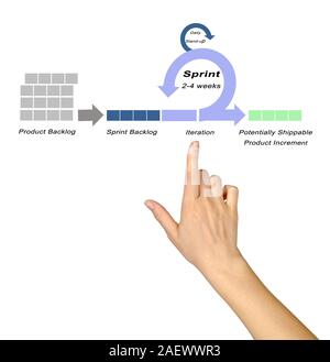 Komponenten von Scrum Modell Stockfoto