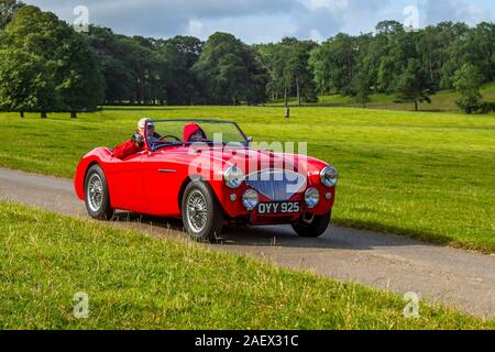 1954 50er Jahre rot 2660cc Austin Healey Klassische Autos, historiker, geschätzt, Oldtimer, Sammlerstück restaurierter Oldtimer-Veteran, 50er Jahre Fahrzeuge vergangener Zeiten, die zur historischen Auto-Veranstaltung von Mark Woodward in Leighton Hall, Carnforth, Großbritannien, eintrafen Stockfoto