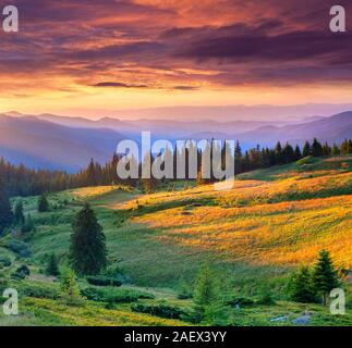 Schönen Sommer Landschaft in den Bergen. Dramatischer Sonnenuntergang. Stockfoto