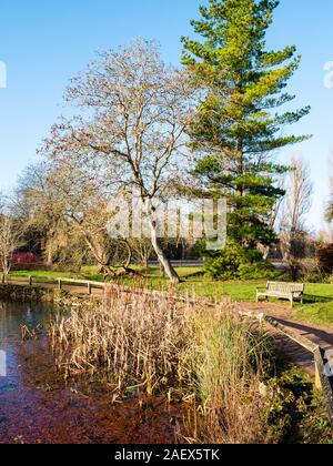 Lazenbee's Boden, im Winter, Universität Parks, Oxford, Oxfordshire, England, UK, GB. Stockfoto