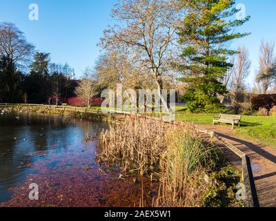 Lazenbee's Boden, im Winter, Universität Parks, Oxford, Oxfordshire, England, UK, GB. Stockfoto