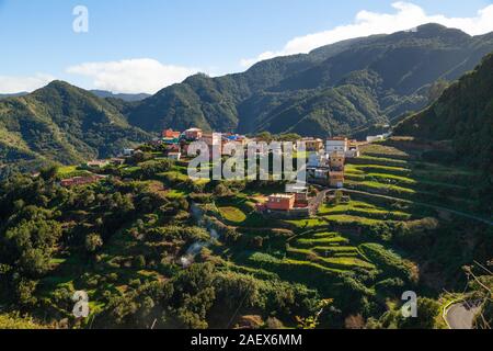 Terrassierten Feldern in der Nähe des Dorfes Las Carboneras im Anaga Gebirge, Teneriffa Stockfoto