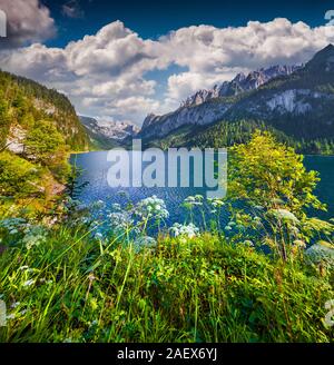 Sonnigen Sommermorgen auf dem Gosausee (vorderer Gosausee) mit Blick auf den Hohen Dachstein und Gosau Gletscher im Oberösterreichischen Alpen, Salzkammergut Stockfoto