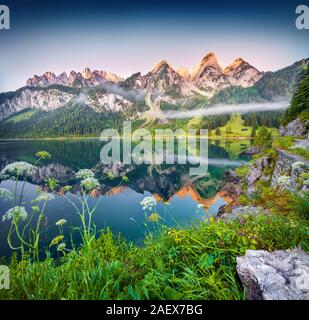 Misty Sommer morgen auf der vorderen Gosausee in den österreichischen Alpen. Österreich, Europa. Stockfoto