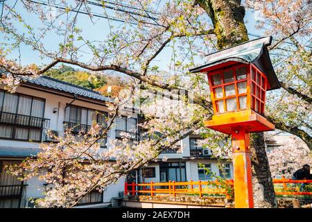 Traditionelle japanische Lampe mit Frühling Kirschblüten bei kinosaki Onsen Dorf in Kobe, Japan Stockfoto