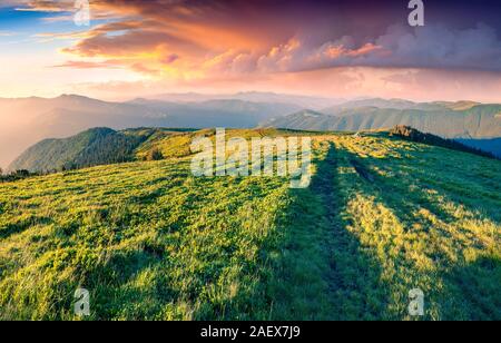 Farbenfrohe Sommer Sonnenaufgang in die Karpaten. Erste Sonnenlicht leuchtenden Berghänge auf Svidovets ridge, Ukraine, Europa. Stockfoto