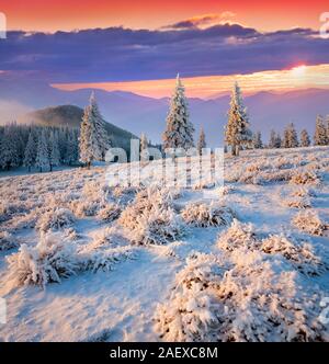 Bunte winter Sonnenaufgang in den Bergen. Ersten Frost im Tal. Stockfoto