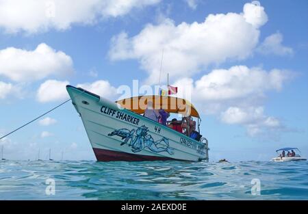 Cliff Sharker Boot in Barbados in der Karibik. Das kleine Boot verpflichtet sich Schildkröten und Wrack Touren in das Meer aus Barbados. Stockfoto