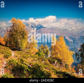 Bunte Herbst morgen im Kaukasus. Sunny View der Ushba Berg aus Mkheer Berghänge in oberen Swanetien, Georgien, Europa. Künstlerische Stockfoto