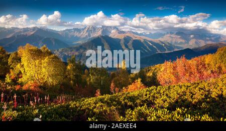 Bunte Herbst morgen im Kaukasus. Sunny View der Ushba Berg von Mher Berghänge in oberen Swanetien, Georgien, Europa. Künstlerische st Stockfoto