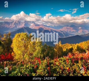 Bunte Herbst morgen im Kaukasus. Sunny View der Ushba Berg von Mher Berghänge in oberen Swanetien, Georgien, Europa. Künstlerische st Stockfoto