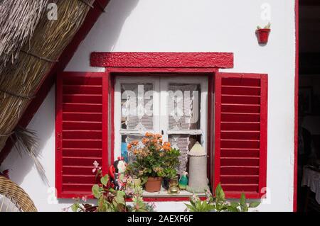 Isolierten roten Fenster mit Pflanzen und Dekorationen für ein traditionelles Haus in Santana (Insel Madeira, Portugal, Europa) Stockfoto