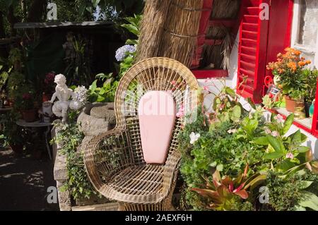 Rosa rattan Sessel im Garten unter einem roten Fenster in der Nähe von Pflanzen und Blumen (Madeira, Portugal, Europa) Stockfoto