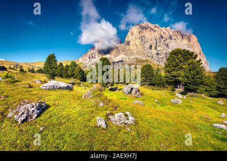 Farbenfrohe Sommer morgen auf der Langkofel (Langkofel) Mountain Range. Blick vom Sellajoch. Nationalpark der Dolomiten, Südtirol. St. Ulrich Lage Stockfoto