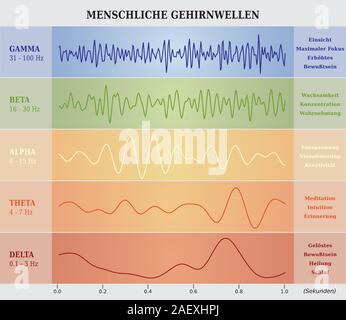 Menschliche Gehirnwellen Diagramm in fünf Farben mit Erläuterungen - Deutsche Sprache Stock Vektor