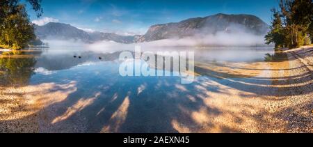 Panorama der nebligen Sommer am frühen Morgen auf dem Bohinj See im Triglav Nationalpark Slowenien Julische Alpen, Europa. Stockfoto