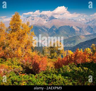 Bunte Herbst morgen im Kaukasus. Sunny View der Ushba Berg aus Mkheer Berghänge in oberen Swanetien, Georgien, Europa. Künstlerische Stockfoto