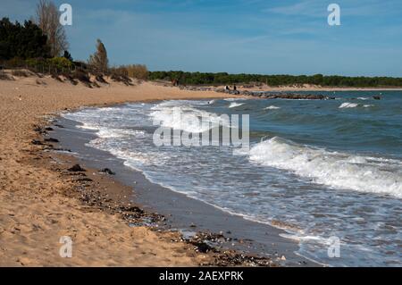 Boyardville Strand, Ile d'Oleron, Charente-Maritime (17), Nouvelle-Aquitaine Region, Frankreich Stockfoto