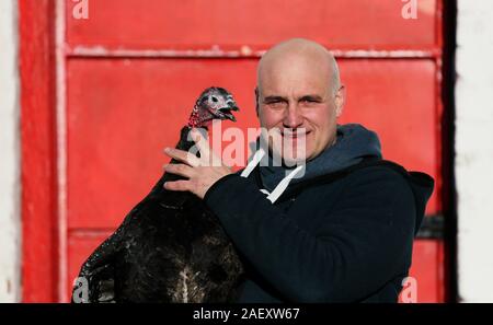 David McEvoy, der termonfeckin Lecker Truthähne, mit einer Handvoll seiner freien Strecke Truthähne, die vermieden wird, dass die Weihnachten cull und live zu sehen, das neue Jahr, auf seiner Farm in Termonfeckin, Co Louth. Die geringe Zahl der Truthähne sind zurück gehaltene Aufträge für später feiern früh im neuen Jahr zu füllen. Stockfoto