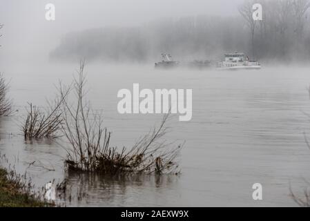 Morgennebel am Rhein, große Rhein Schiff, in der Nähe von Karlsruhe, Baden-Württemberg, Deutschland, Europa Stockfoto