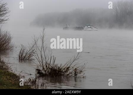 Morgennebel am Rhein, große Rhein Schiff, in der Nähe von Karlsruhe, Baden-Württemberg, Deutschland, Europa Stockfoto