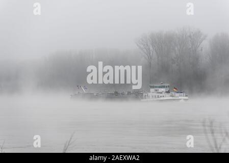 Morgennebel am Rhein, große Rhein Schiff, in der Nähe von Karlsruhe, Baden-Württemberg, Deutschland, Europa Stockfoto