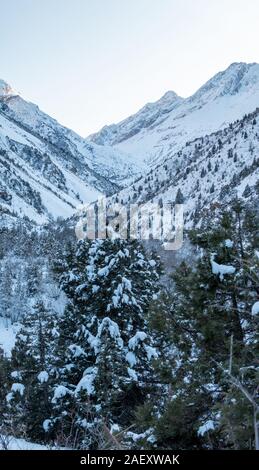 Vertikale Panorama des Berges Schlucht im Winter Stockfoto