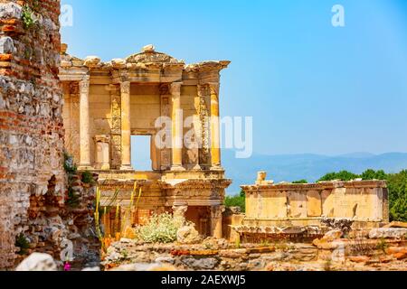 Celsus Bibliothek alte Ruinen und Frühlingsblumen close-up Details in Ephesus, Efes, Türkei anzeigen Stockfoto