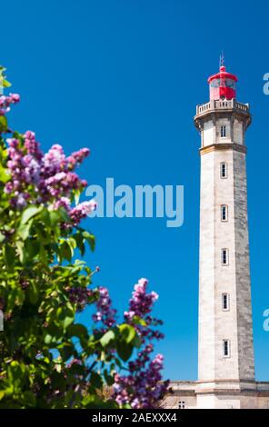 Leuchtturm der Wale oder Phare des Baleines, Saint Clement des Baleines, Ile de Ré, Charente-Maritime (17), Frankreich. Stockfoto