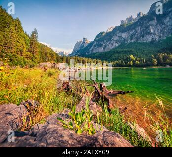 Sonnigen Sommermorgen auf dem Gosausee (vorderer Gosausee) mit Blick auf den Hohen Dachstein und Gosau Gletscher. Bunte outdoor Szene in Oberösterreich Al Stockfoto