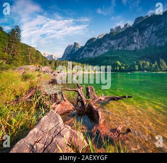 Sonnigen Sommermorgen auf dem Gosausee (vorderer Gosausee) mit Blick auf den Hohen Dachstein und Gosau Gletscher. Bunte outdoor Szene in Oberösterreich Al Stockfoto