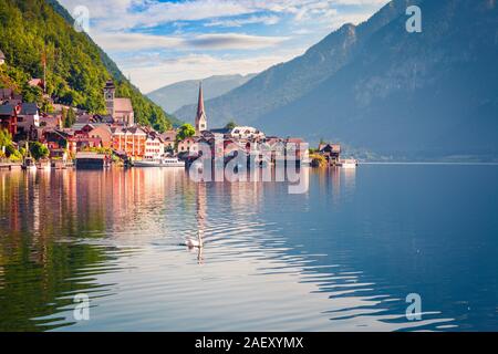 Weißer Schwan am Hallstätter See sehen. Sonnigen morgen Szene auf der Pier von Hallstatt Dorf in den österreichischen Alpen, Liezen Bezirk der Steiermark, Österreich, Stockfoto