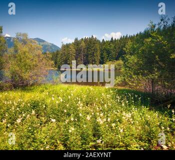 Hellen, sonnigen Morgen auf die blossom Valley in der Nähe von gessl Dorf. Farbenfrohe Sommer Blick auf den Grundlsee, Liezen Bezirk der Steiermark, Österreich, Alpen. E Stockfoto