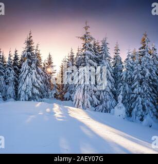 Dramatische winter Sonnenuntergang in Karpaten mit Schnee duckte sich passen. Bunte outdoor Szene, Frohes Neues Jahr feier Konzept. Künstlerischen Stil Stockfoto