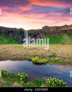 Unglaubliche morgen Blick auf Seljalandfoss Wasserfall auf Seljalandsa River. Farbenfrohe Sommer Sonnenaufgang in Island, Europa. Künstlerischen Stil nachbearbeitete Ph Stockfoto