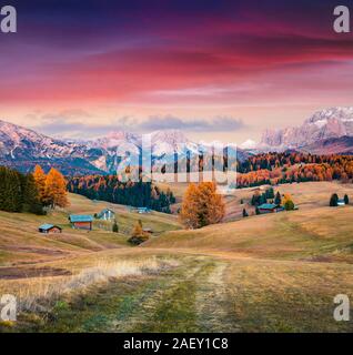 Unglaublichen Sonnenaufgang in Seiser Alm mit schönen gelben Lärchen. Bunte Herbst Abend in Dolomiten, St. Ulrich in Gröden locattion, Italien, Europa. Stockfoto