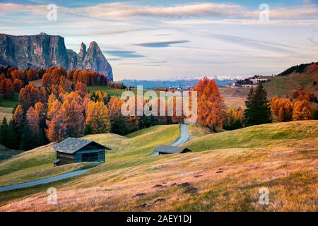 Unglaubliche outdoor Szene in Seiser Alm mit schönen gelben Lärchen und Schlern (schlern) Berg im Hintergrund. Stockfoto